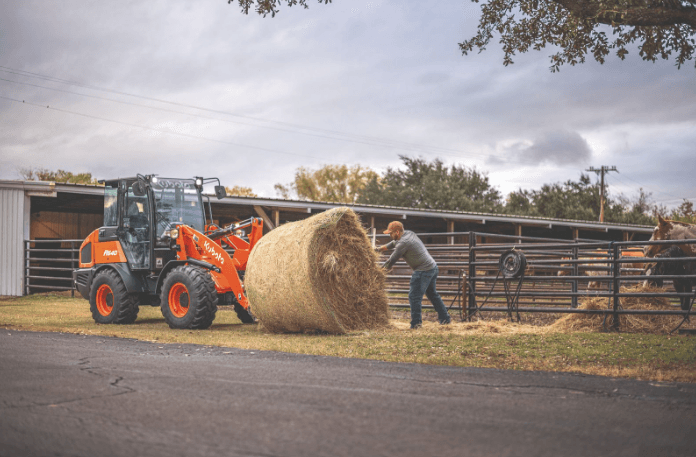 Man pulling apart hay bale to feed cattle